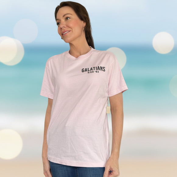 Fruit of the spirit size small baby pink unisex T-shirt